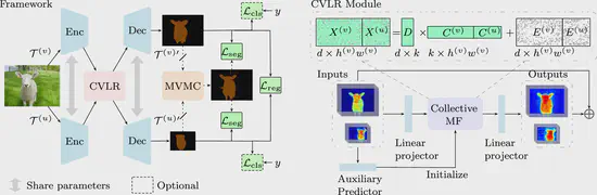 Learning Self-Supervised Low-Rank Network for Single-Stage Weakly and Semi-Supervised Semantic Segmentation