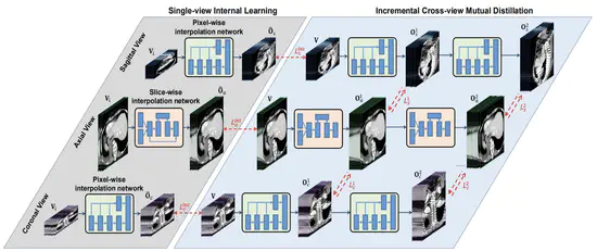 Incremental Cross-view Mutual Distillation for Self-supervised Medical CT Synthesis
